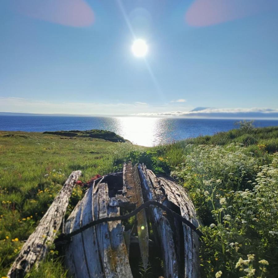 Happy-cove - By The Sea *